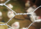 304ステンレス鋼20 GAの鶏の金属線の網の家禽の網の六角形の穴3/4&quot;
