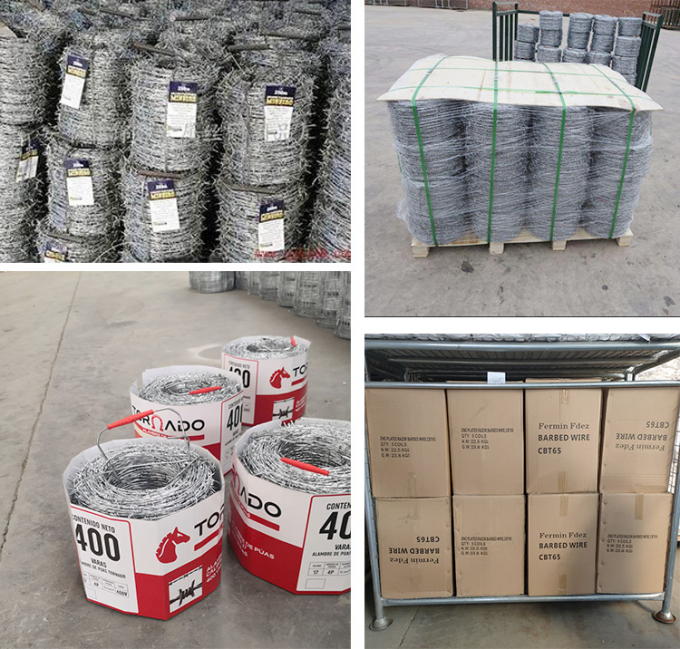 低価格 熱浸し ガルバン化 剃り針 刺線 3