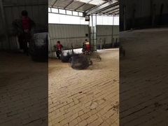 黒いアネール根球 木や植物のためのワイヤバスケット 根球輸送