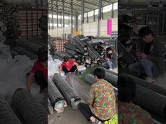 緑色 20 Ga メタルワイヤーメッシュ 装飾用六角ワイヤーネット PVC コーティング