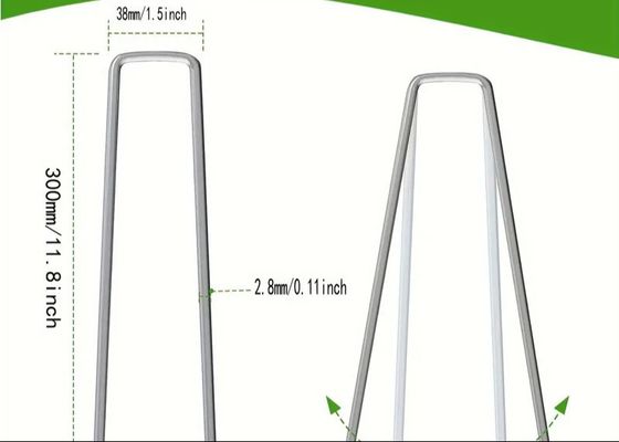 グラスネイル グラスネイル