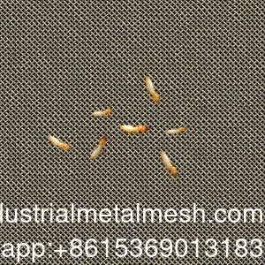 AISI 304 316 316L 防白蟻不銹鋼編織網篩