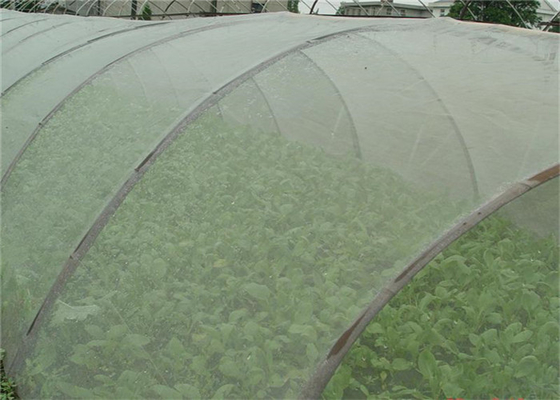 耐久性5年 使用 虫除け網 20×10 虫除け網 温室