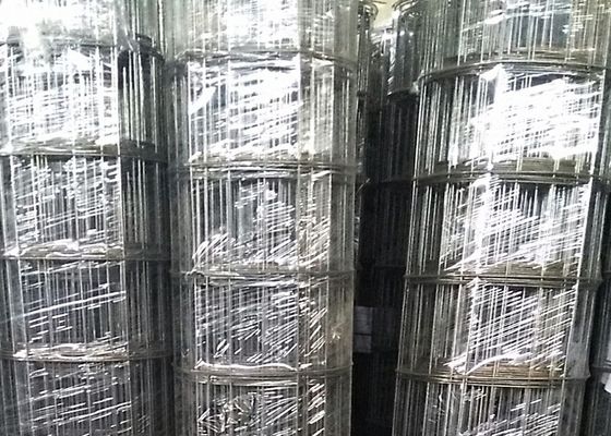 3mmワイヤー直径15cm Openningの南アフリカの市場のための黒によって溶接される金網