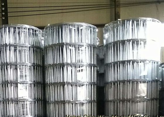 3mmワイヤー直径15cm Openningの南アフリカの市場のための黒によって溶接される金網