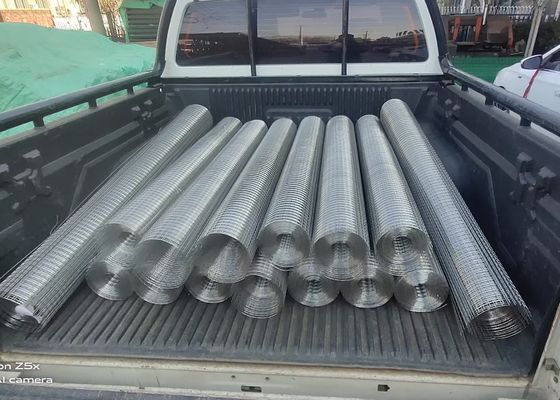 3mmの構造1/4のx 1/4インチによって溶接される金網