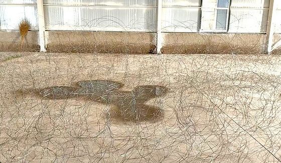 10mの周りを巡るPutanka MZPの不気味な鉄の障害物