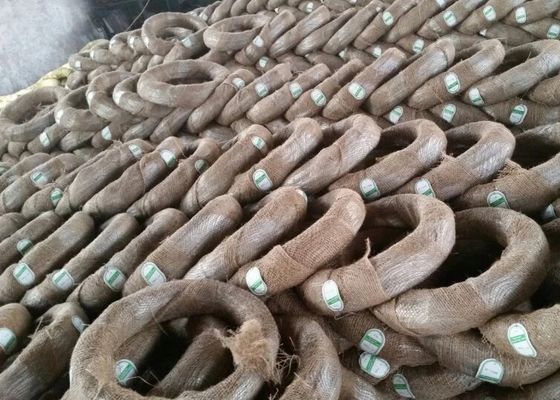 電流を通された鋼鉄エレクトロはワイヤー鉄の結合に電流を通したワイヤーBWG12に電流を通した