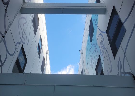 手すりの保護および安全のための反腐食のステンレス鋼316ワイヤー ロープの網