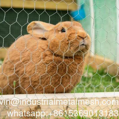 庭のフェンスに使用される4インチ開口六角線網