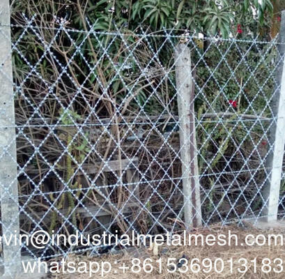 壁用盗難防止溶接有刺鉄線 溶接有刺鉄線メッシュ