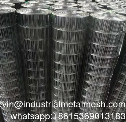 Bird Cage 1x2 Welded Wire Mesh Stainless Steel Mesh