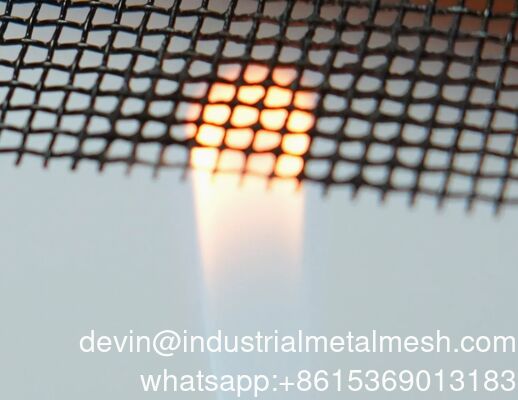 Ss 304 Stainless Steel Wire Mesh Projector Screen/Insect Nets/Security Screen for Windows