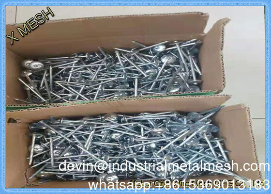 Galvanized Iron Nail Cement Nail Common Nails Gun Concrete Steel Nails