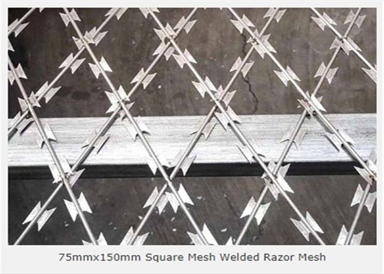 電流を通された銀製は3.2mmかみそりの金網75x150mmの入り口を溶接した